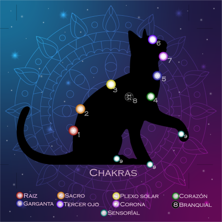 Paño de Reiki a distancia para Gatos (N° 1)