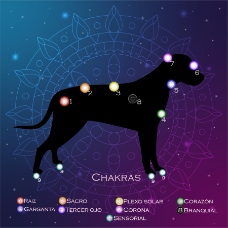 Paño de Reiki a distancia para Perros (N° 2)