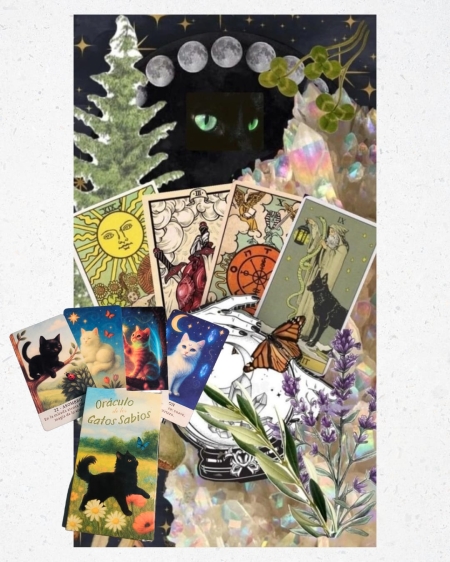 Oráculo de los Gatos Sabios + Tapiz